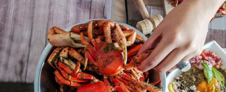 El "Rey de la Mesa" regresa: Este 2 de marzo finaliza la veda del cangrejo rojo y azul