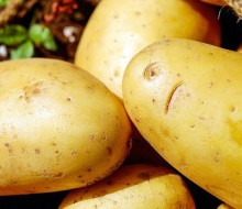Tipos de patatas y aplicaciones en la cocina